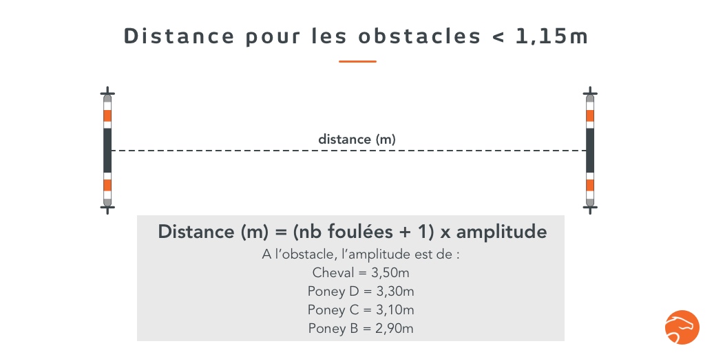 La rubrique du pôle Hippolia: comment choisir ses barres d'obstacle ?