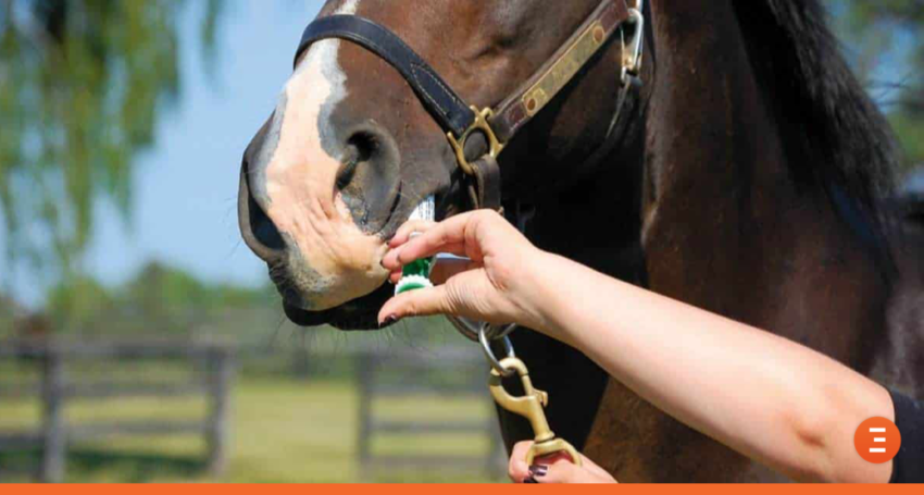 horses_deworming_header