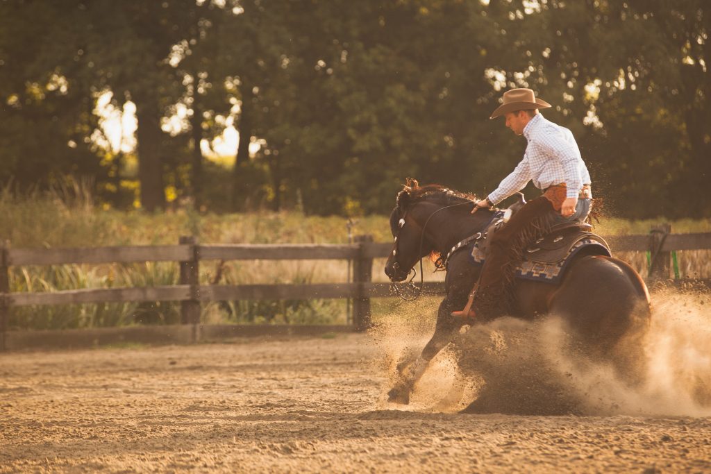 Beispiel für einen Übergang vom Galopp zum Halt ohne Annehmen der Zügel ©Equisense