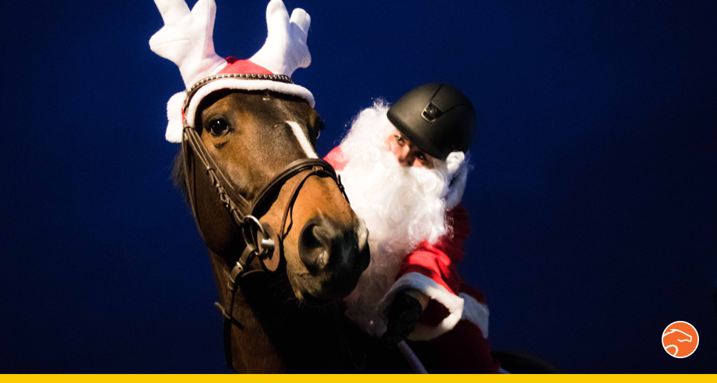 Les 4 Exercices De Plat Pour Noel Equisense Blog Les 4 Exercices De Plat Pour Noel Equisense Blog