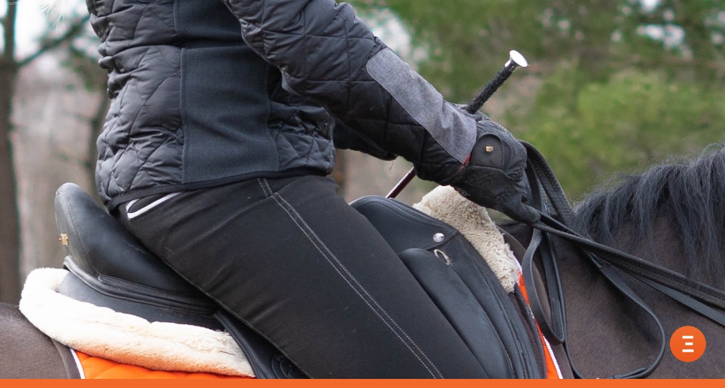 BEIM REITEN EINE WEICHE HAND BEIBEHALTEN | Equisense - Blog