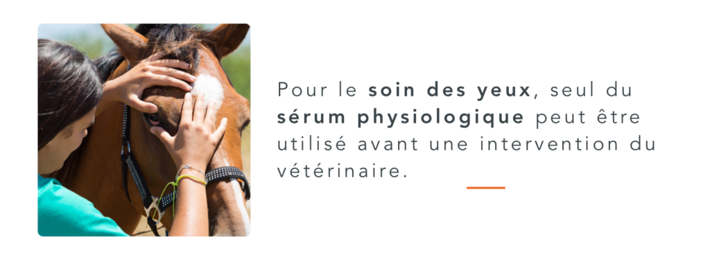 serum physiologique dans la trousse de premiers secours pour le cheval