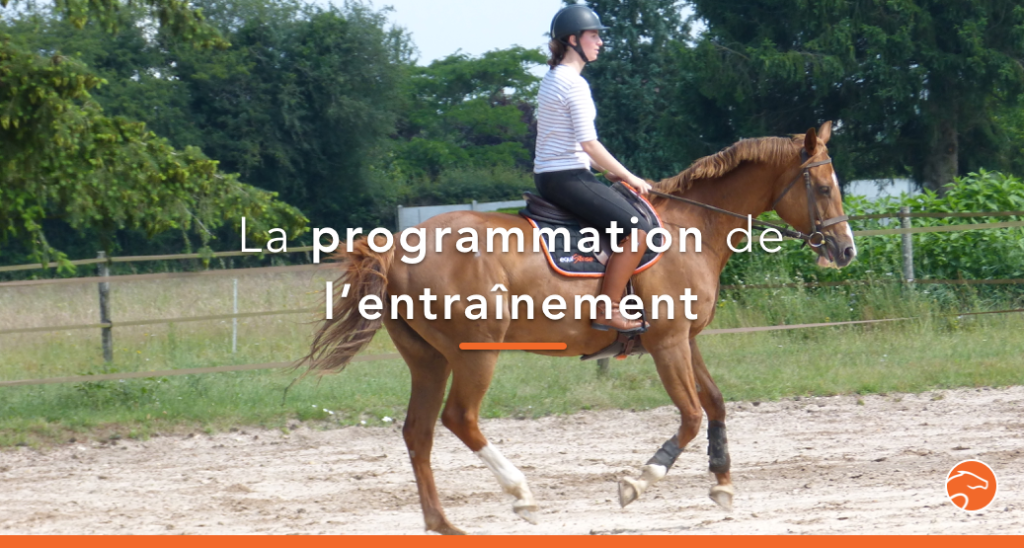 Au Galop Une Saison à Cheval Comment programmer l'entrainement de son cheval sur une saison entière