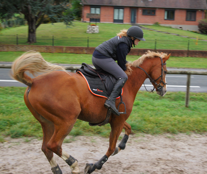 chute de cheval