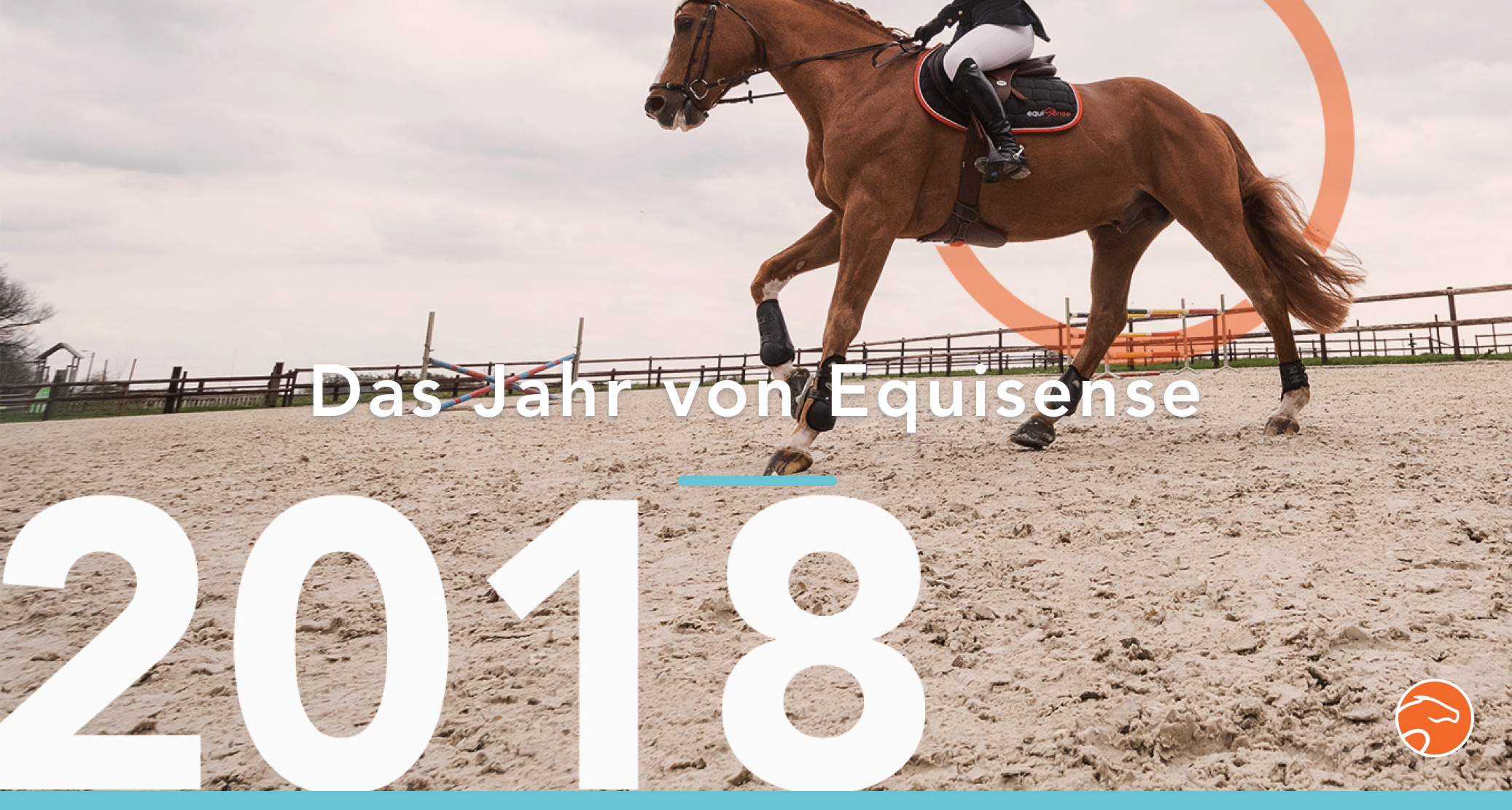 2018 in Zahlen_Equisense_Titel_Bild