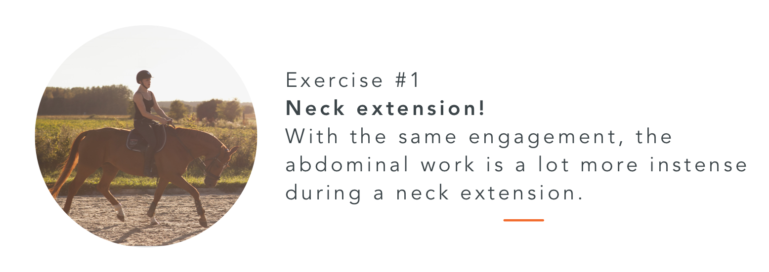exercise back muscles neck extension