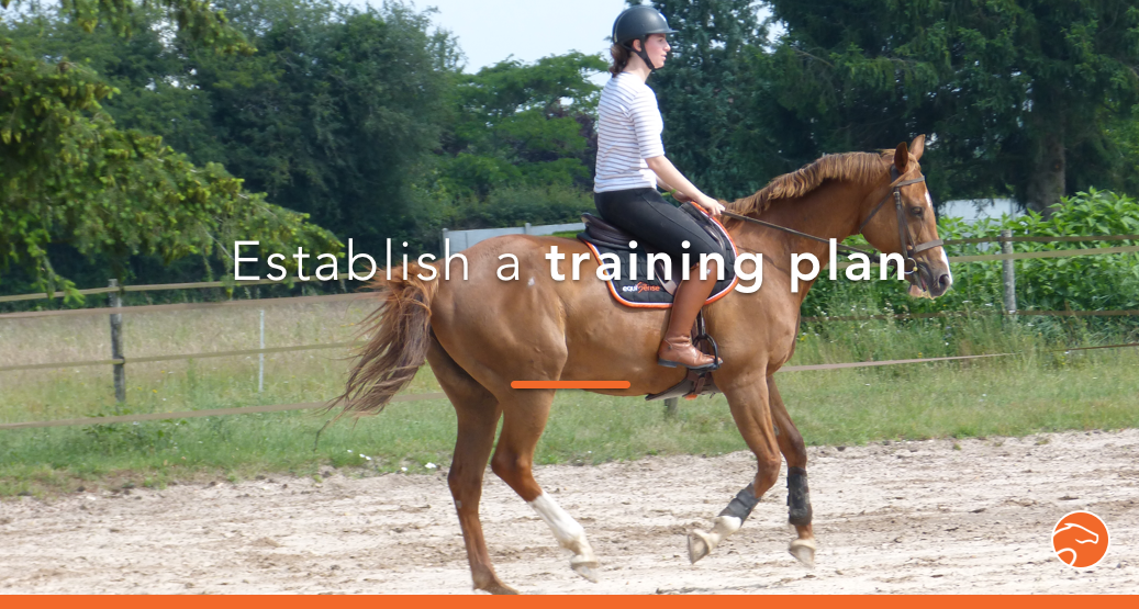 Clicker training for dressage horses