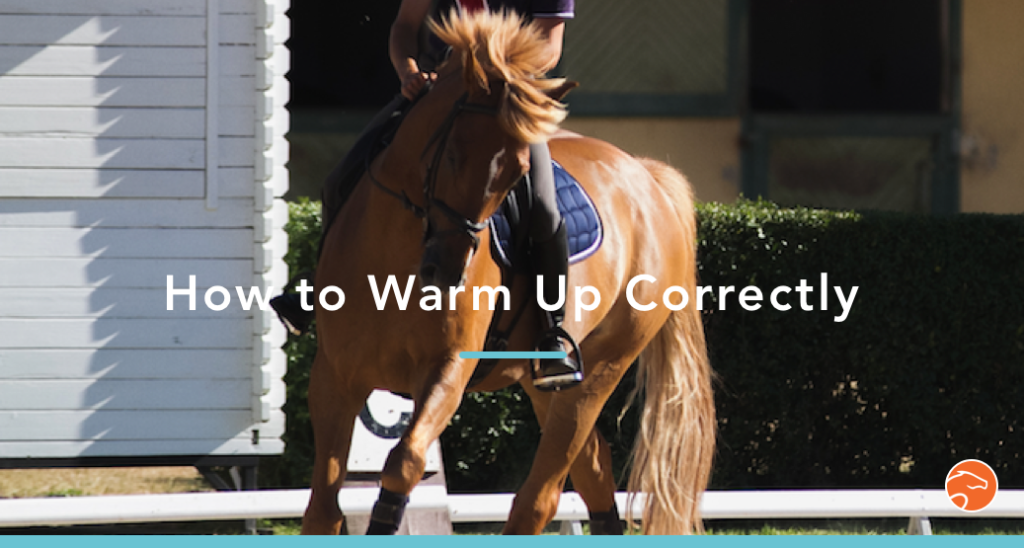 4 steps to Correctly Warm up your Horse Equisense Blog