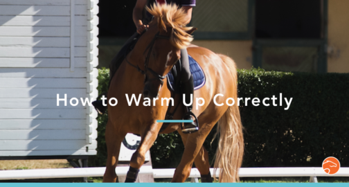 How to Plan your Horse’s Training for the Entire Season | Equisense - Blog