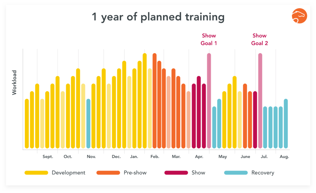 planning horse training