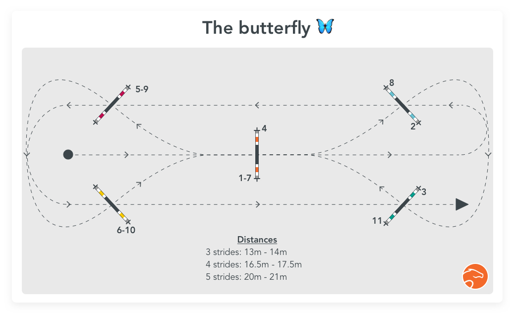 5 Jumping Combinations You Can Do With Few Equipment Equisense Blog