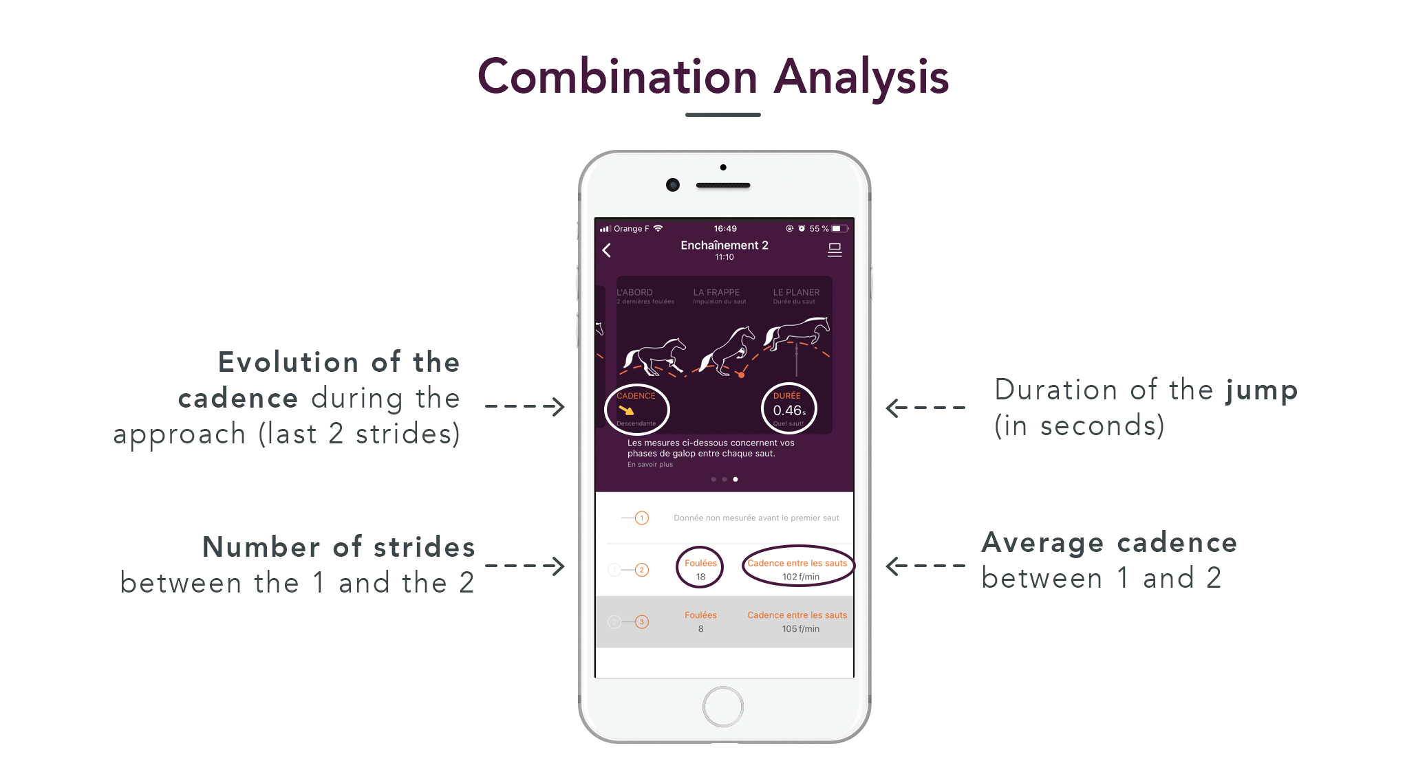 combinations equisense