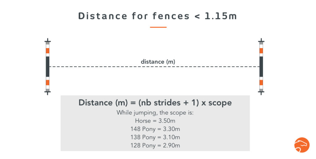Which Distance Should I put Between Ground Poles or Fences? Equisense
