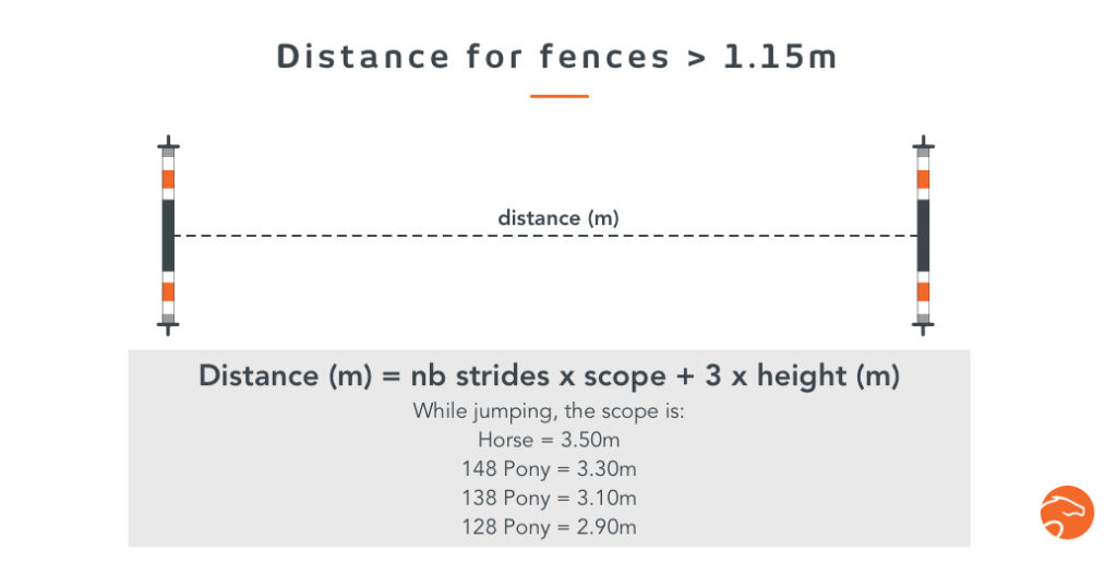 Which Distance Should I put Between Ground Poles or Fences? Equisense