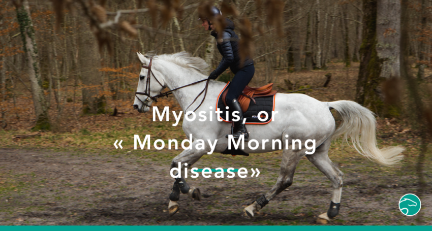 myositis