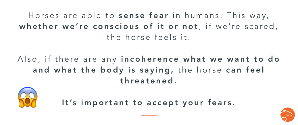 horse riding fear