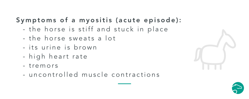 myositis symptoms