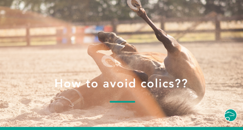 Preventing_horse_colics