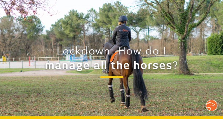 lockdown_managing_horses_EN