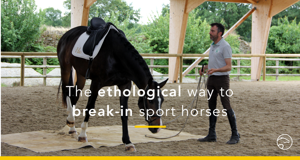 Get Your Horse Off Your Inside Leg: A 5-Day Training Program
