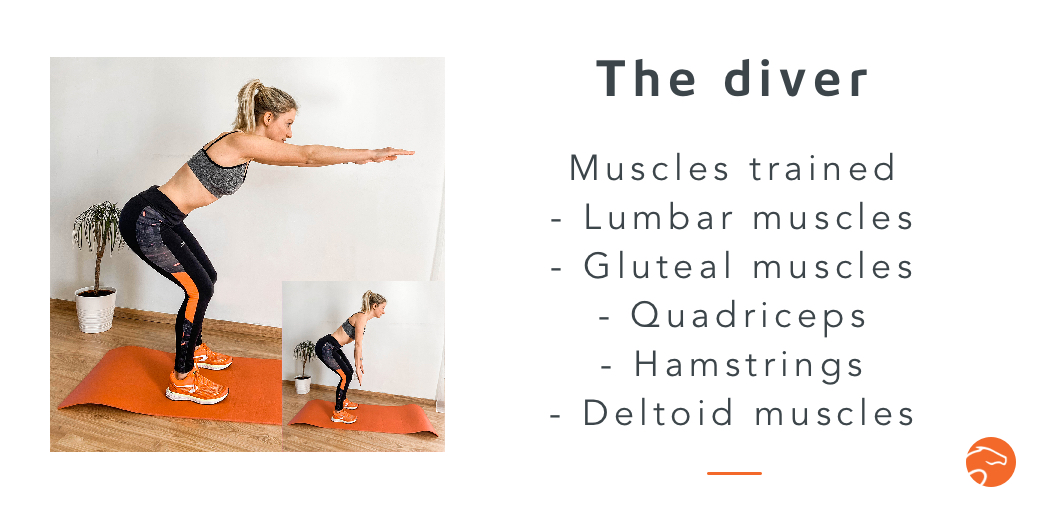 10 Strength Training Exercises for Riders | Equisense - Blog