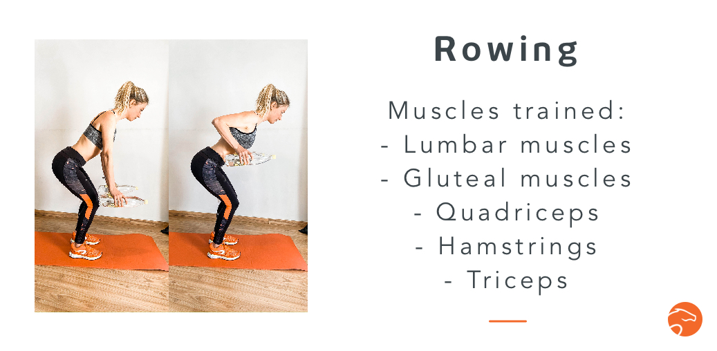 10 Strength Training Exercises for Riders Equisense Blog