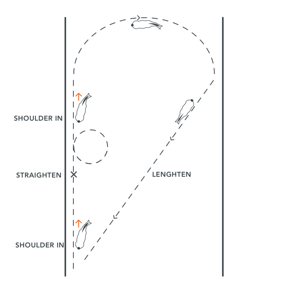 dressage exercise