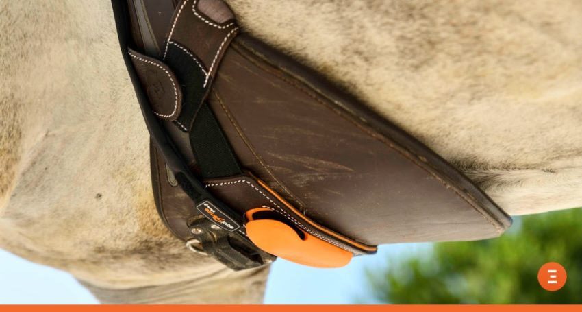 5 Reasons to Use a Heart Rate Monitor with Your Horse Equisense