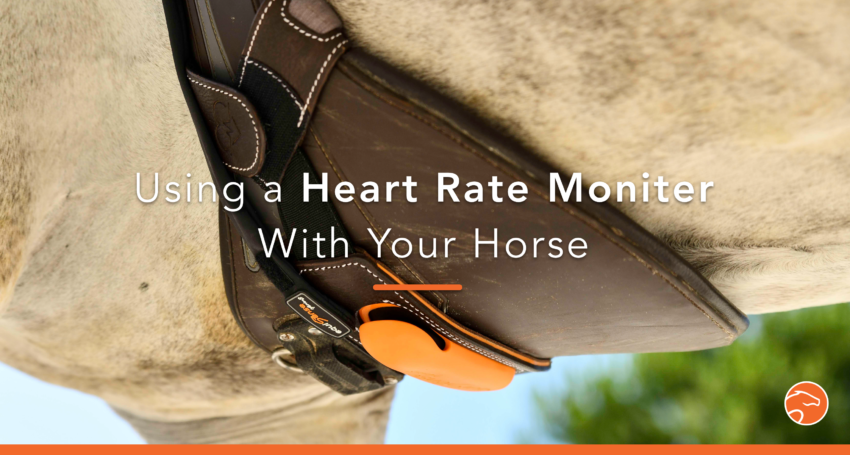 5 Reasons To Use A Heart Rate Monitor With Your Horse Equisense Blog