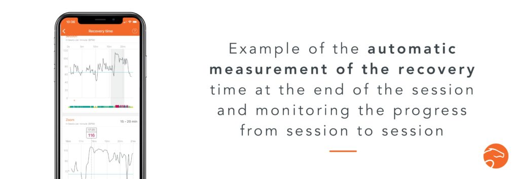 recovery measurement thanks to a heart rate monitor with your horse