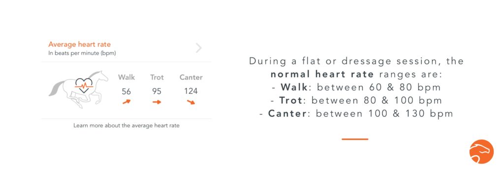 normal heart rate for horses on flat training