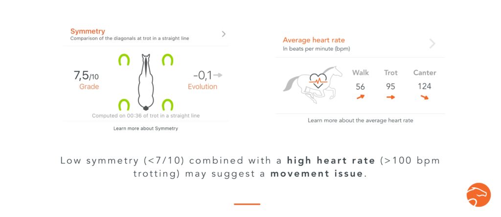 example of use of a Heart Rate Monitor with Your Horse