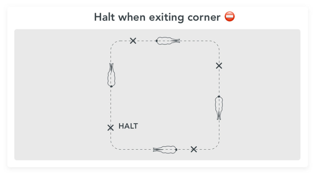 Halt when exiting a corner, a good exercise to improve the direction of the horse