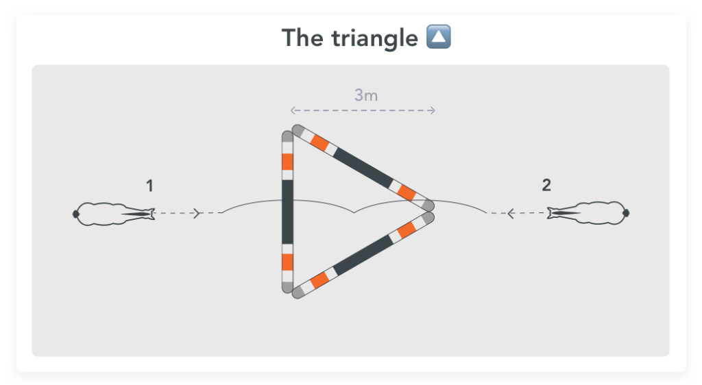 The triangle, a good exercise to improve the direction of the horse