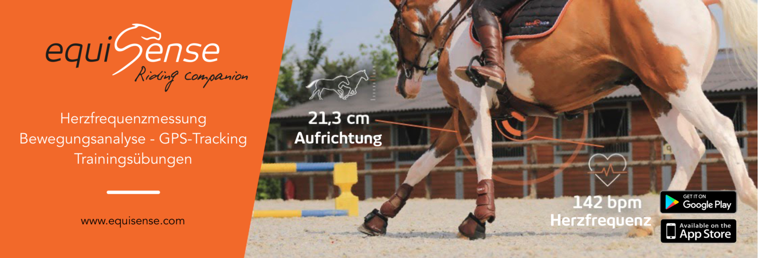 4 Ideen für Springparcours in der Reithalle Equisense Blog