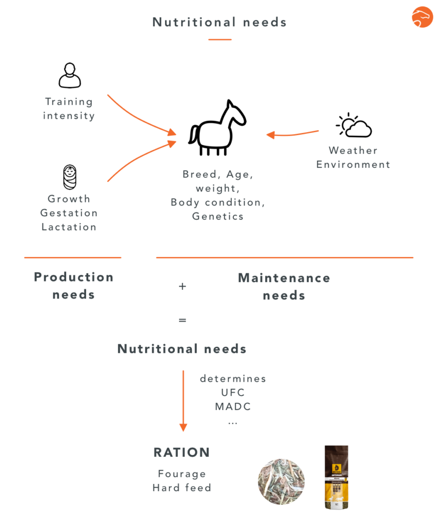 How to calculate your horse's ration? Equisense Blog