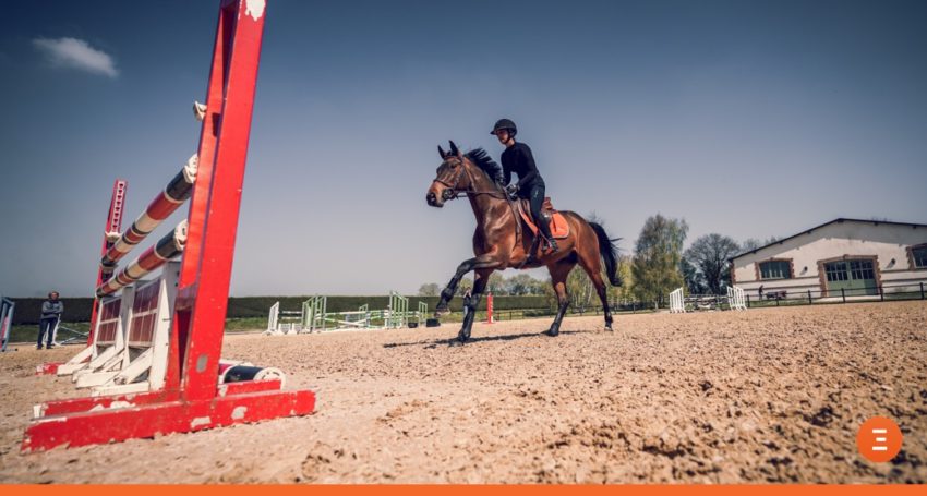 Le cheval qui charge à l'obstacle  Cheval, Chevaux d'obstacles, Saut d' obstacles