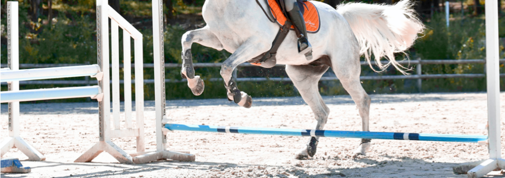 cheval qui charge à l'obstacle