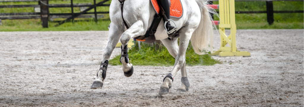 Cheval qui charge à l'obstacle