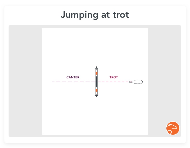 Exercise for horse rushing jumps: jumping at trot