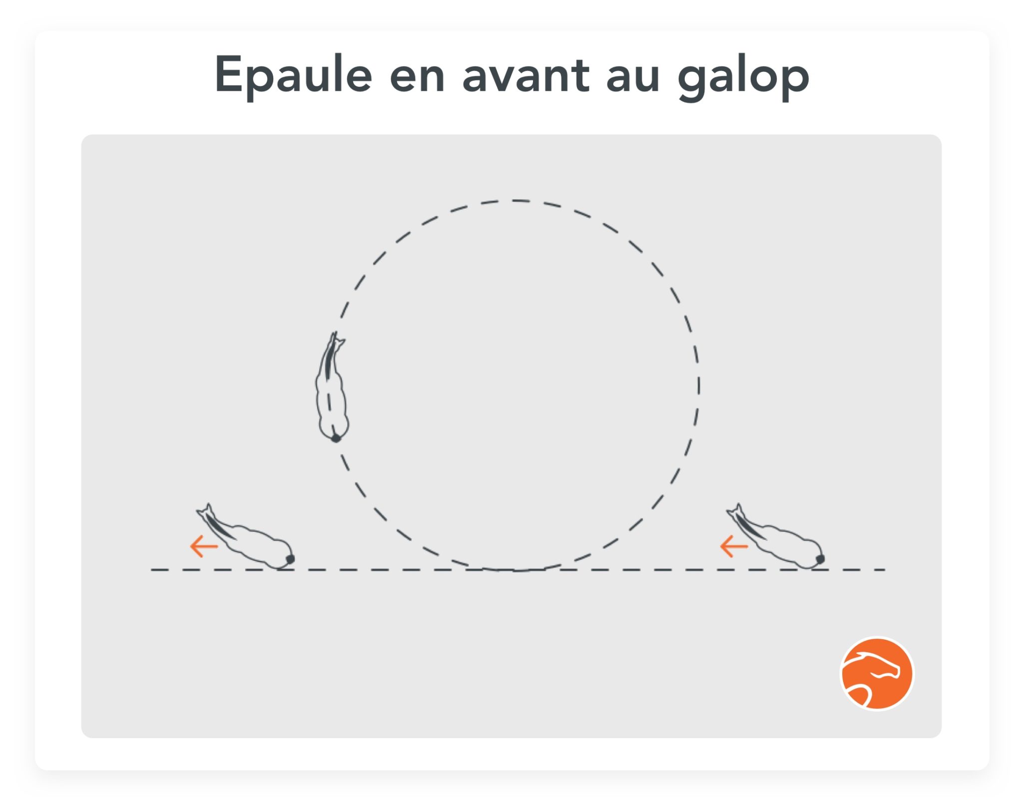 5 exercices pour préparer les changements de pied au galop | Equisense