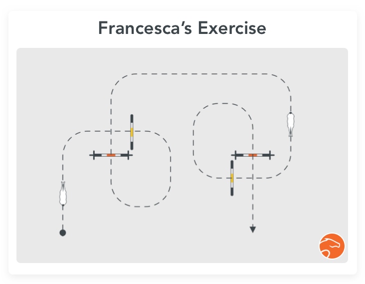 Exercise for horse rushing jumps: Studyhorselife's exercise