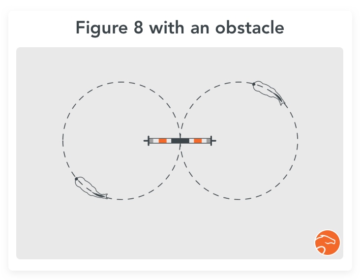 Exercise for horse rushing jumps: figure 8 with an obstacle