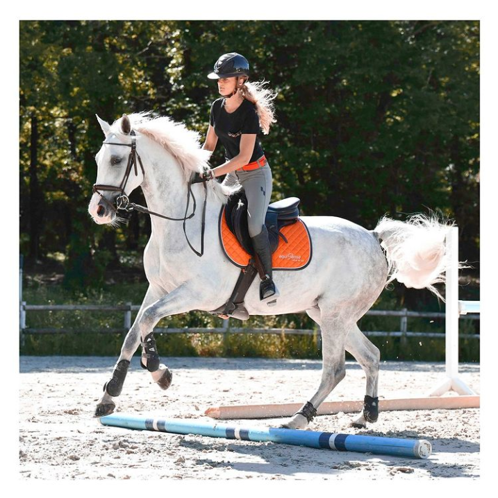 A quoi ressemble le sommeil chez le cheval ? 2 min pour savoir comment dort un cheval