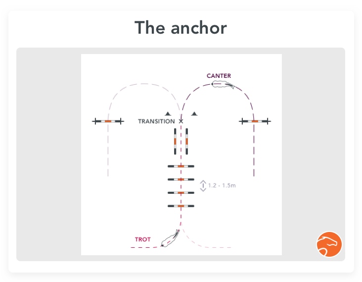 Exercise for horse rushing jumps: the anchor