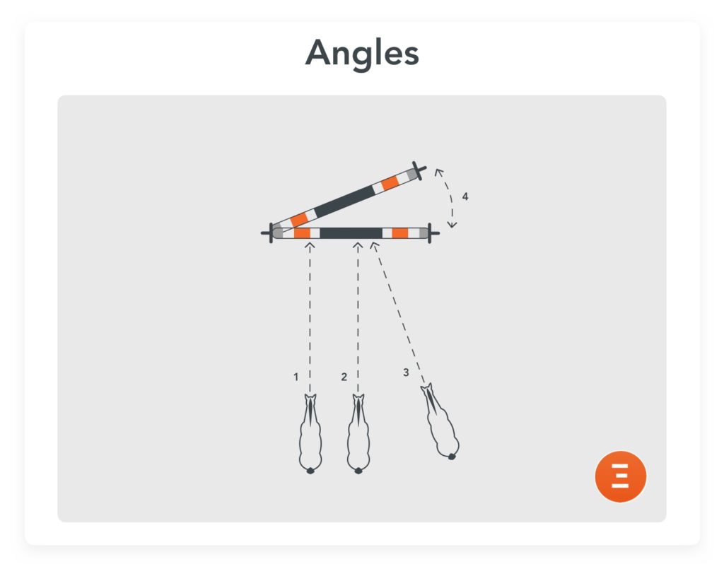 Angles, an exercise to prepare for competition