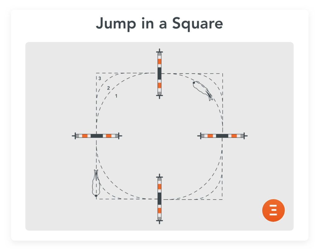 Jump in a square, an exercise to prepare for a competition