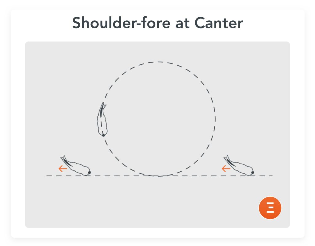 Shoulder-for at Canter, a good exercise for leg change in canter