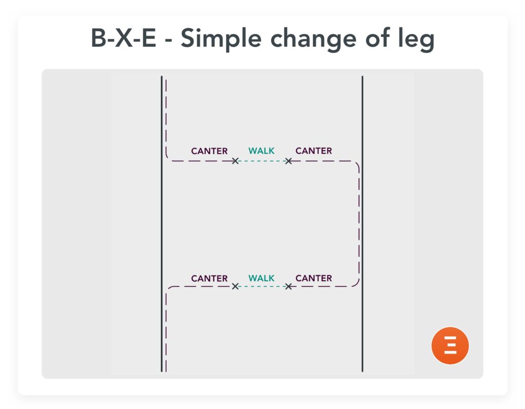 BXE-Simple change of leg, a good exercise for change of leg in canter 