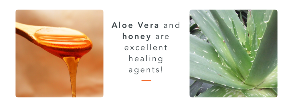 Aloe and honey, good healing agents to keep in your horse first aid kit